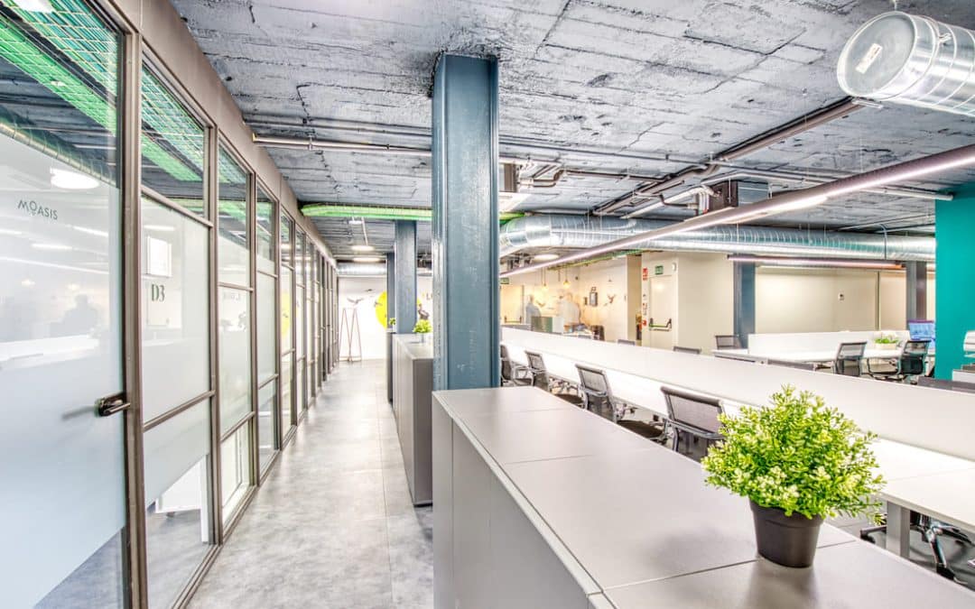 ¿Qué ofrece un Coworking? – Te lo Contamos